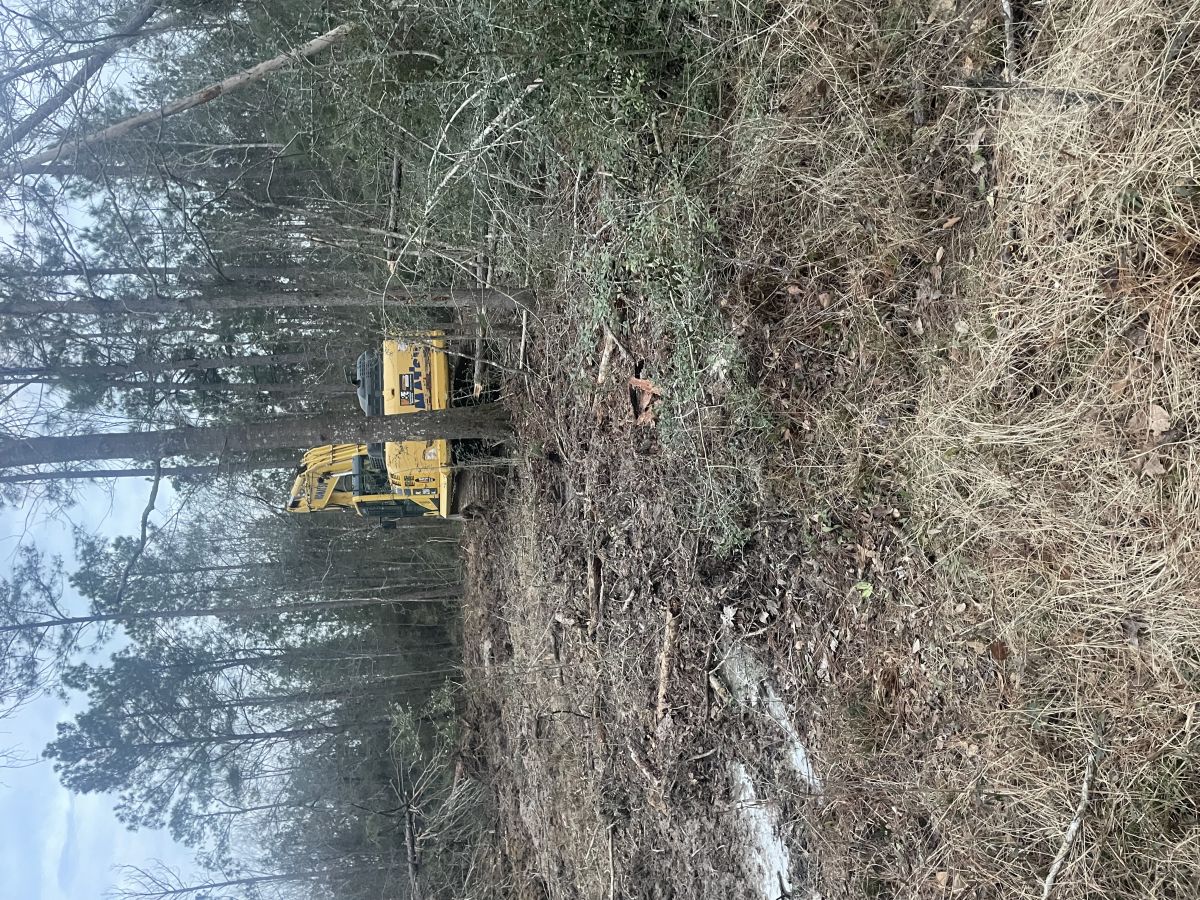 LAND CLEARING 1